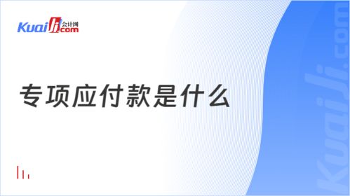 专项应付款是什么 一文解答